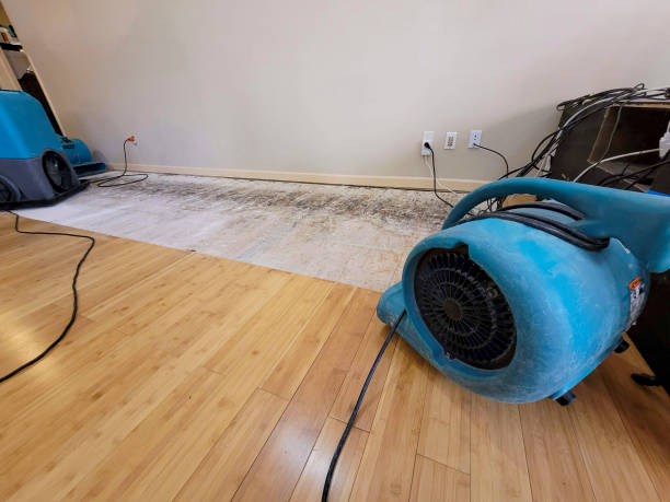 Professional Water Damage Repair technician working in Lennox, SD